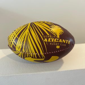 Mini Balón de rugby Nº1: imagen 3