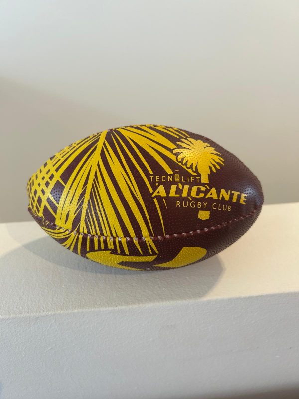 Mini Balón de rugby Nº1 - Imagen 3