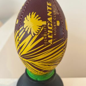 Mini Balón de rugby Nº1: imagen 2